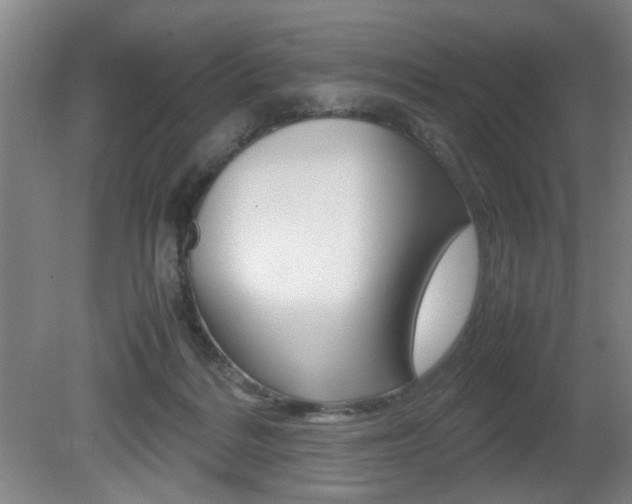 X0000080660220200612150744