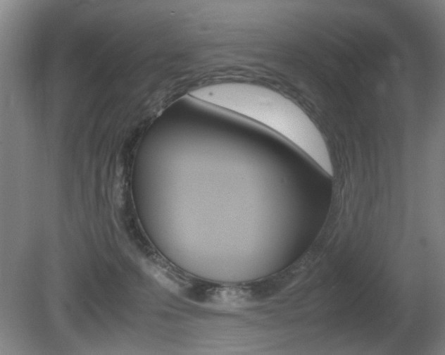 X0000080660223200612150744