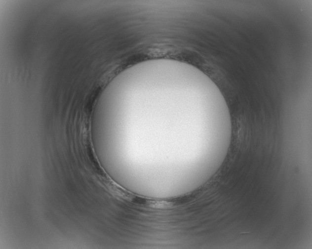 X0000080660226200612150744