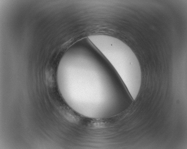 X0000080660228200612150744