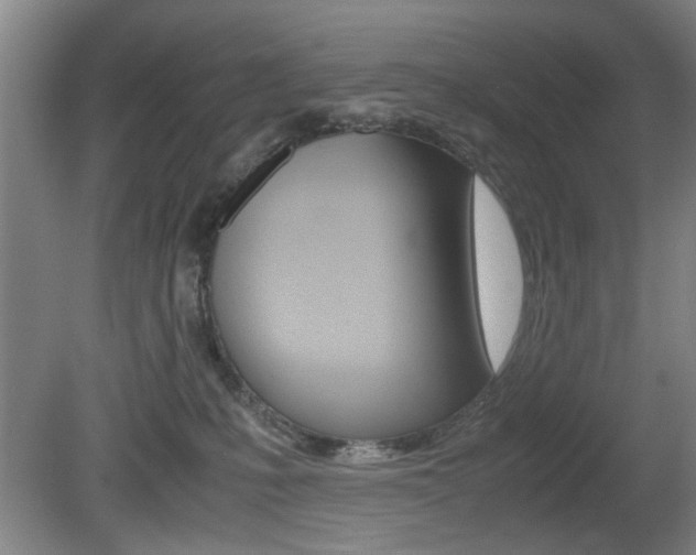X0000080660231200612150744