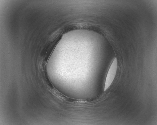 X0000080660233200612150743