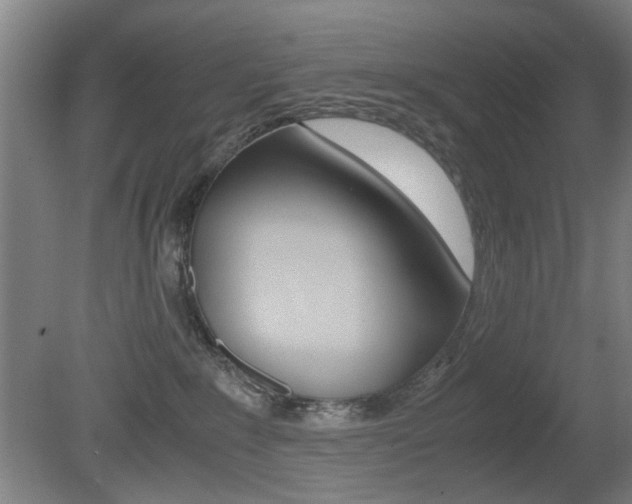 X0000080660235200612150743