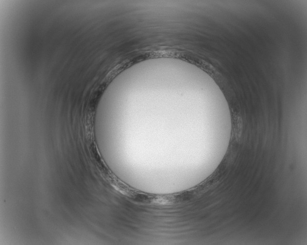 X0000080660236200612150743