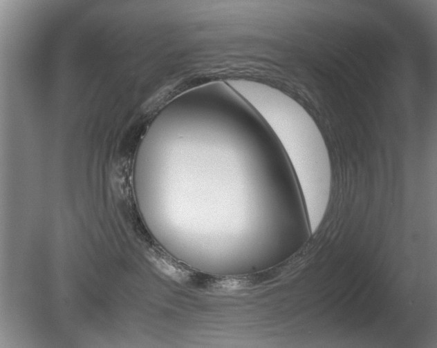 X0000080660237200612150743