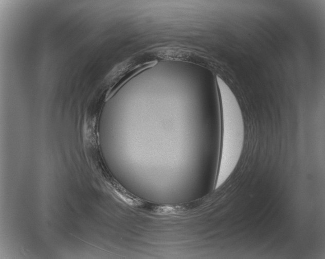 X0000080660239200612150743