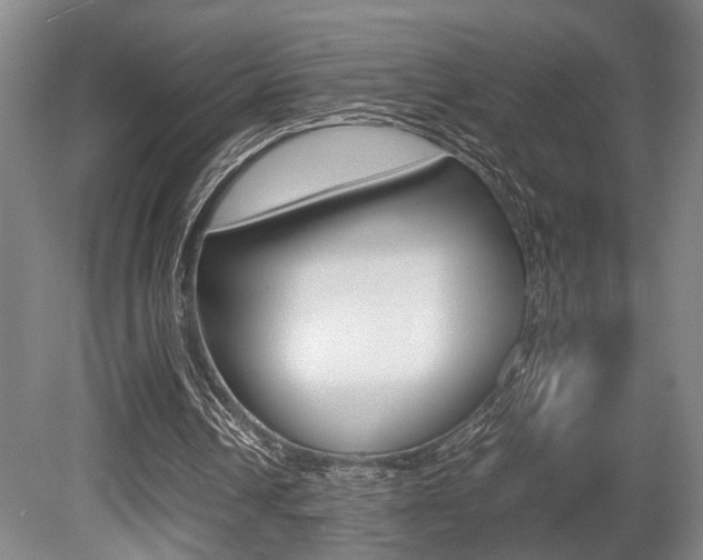 X0000080660242200612150743