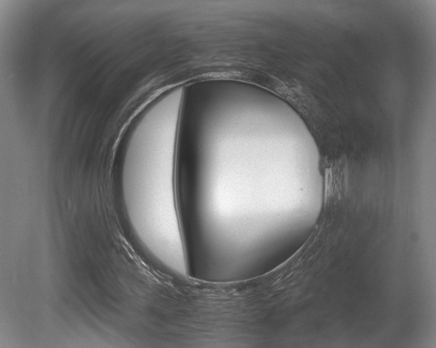 X0000080660243200612150743
