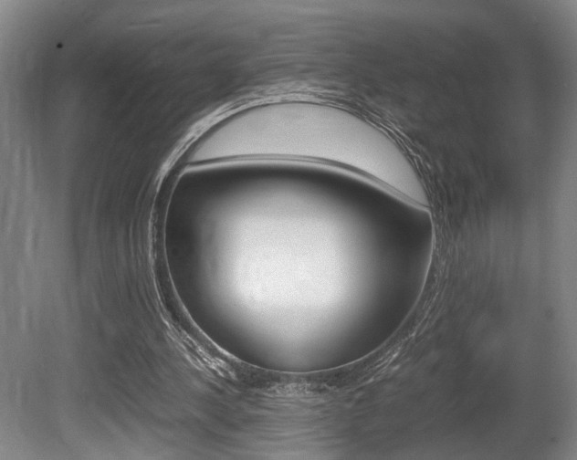 X0000080660244200612150743