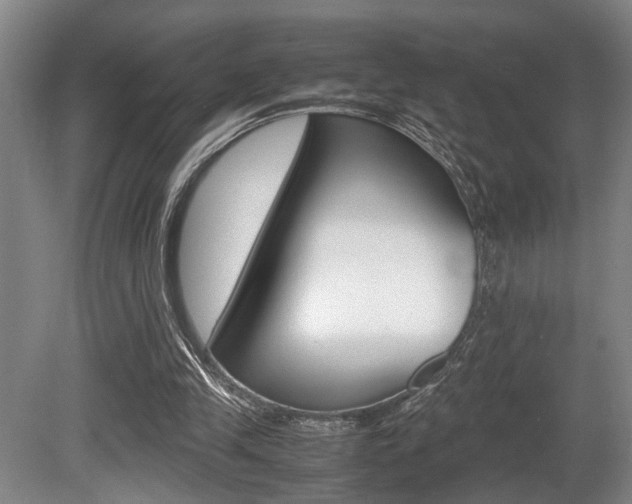X0000080660245200612150743