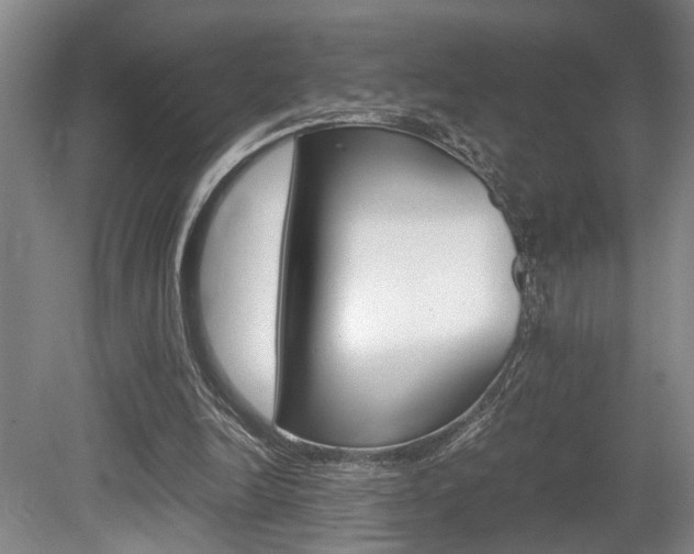 X0000080660246200612150743
