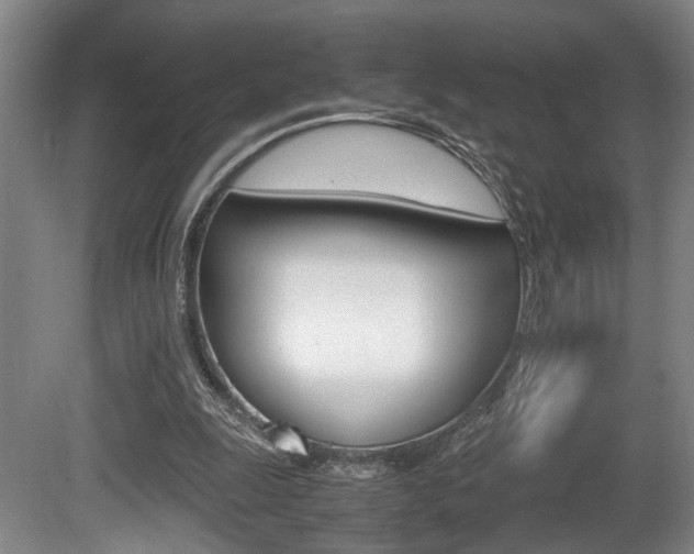 X0000080660247200612150743