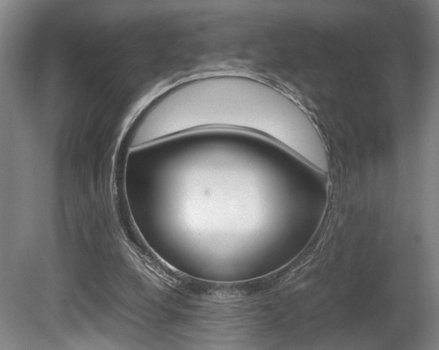 X0000080660248200612150743