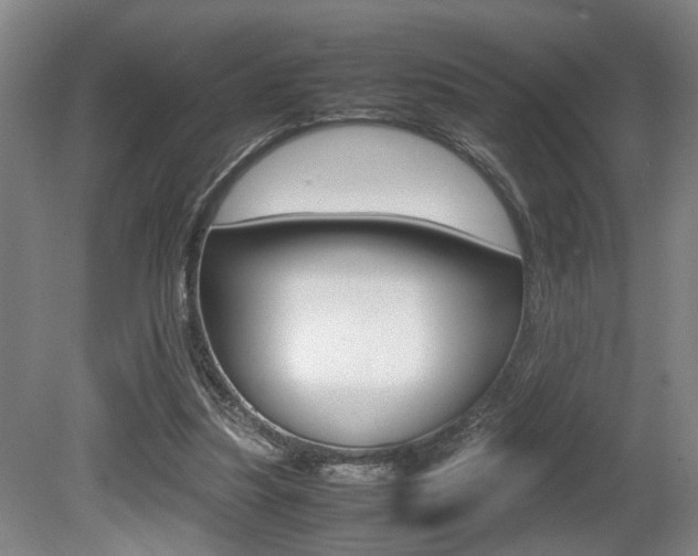 X0000080660251200612150743