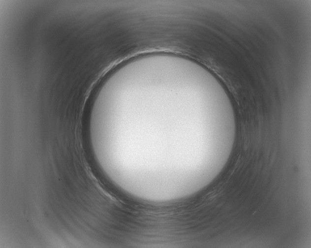 X0000080660252200612150743
