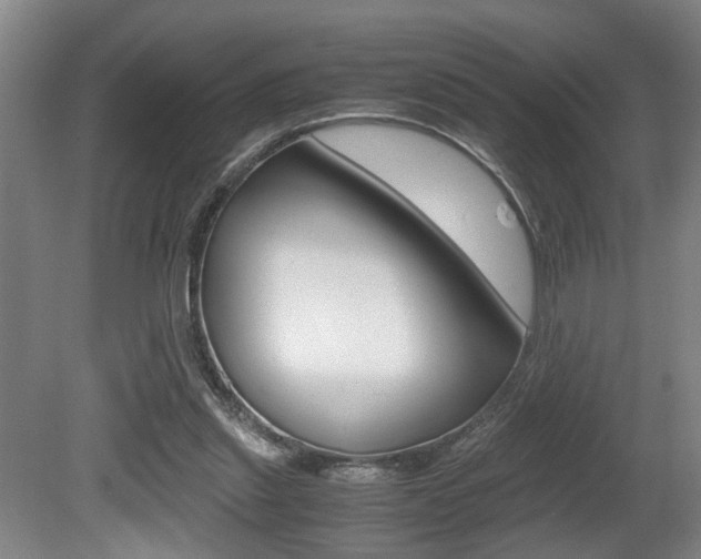 X0000080660253200612150743
