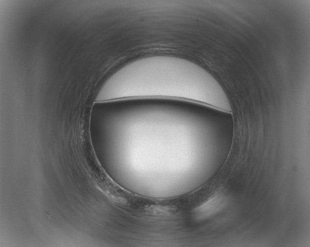 X0000080660255200612150743