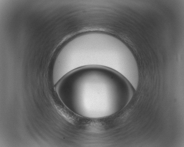 X0000080660256200612150743