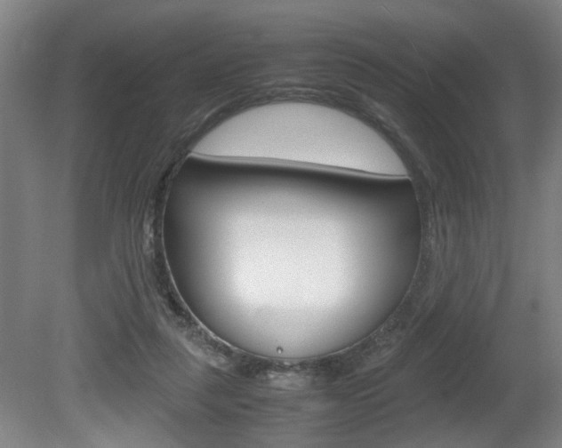 X0000080660259200612150743