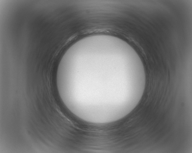 X0000080660260200612150743