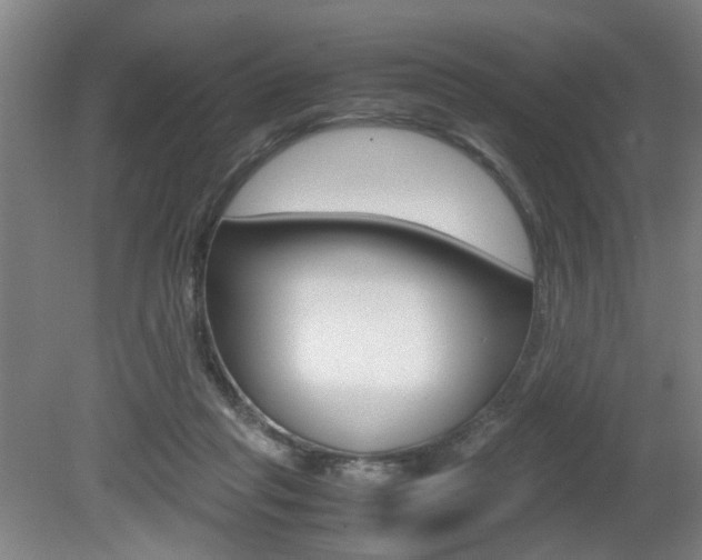X0000080660261200612150743