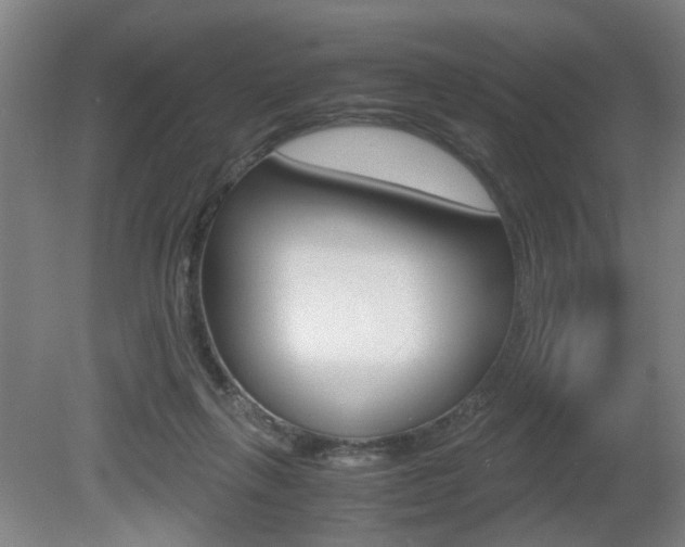 X0000080660263200612150743