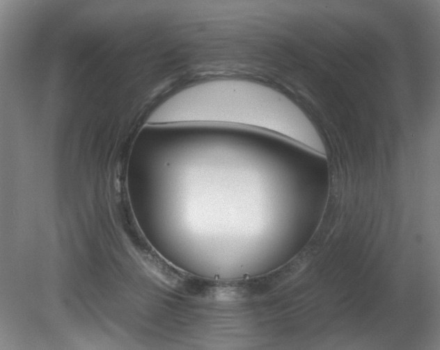 X0000080660264200612150743