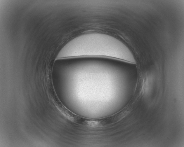X0000080660265200612150743