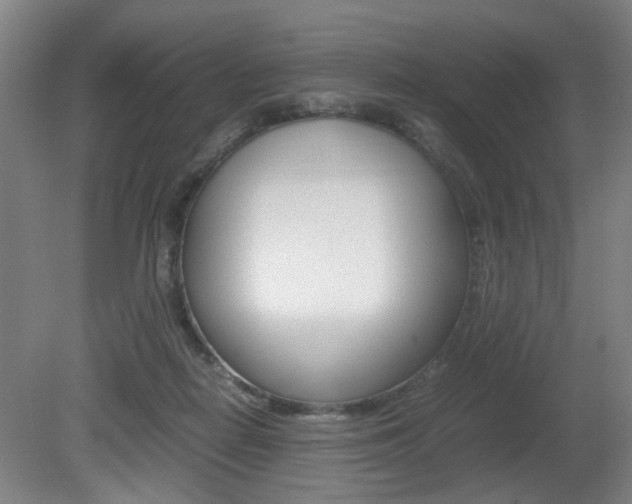 X0000080660266200612150743