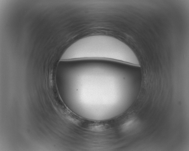 X0000080660267200612150743