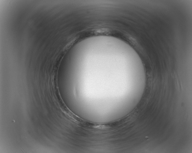 X0000080660269200612150743