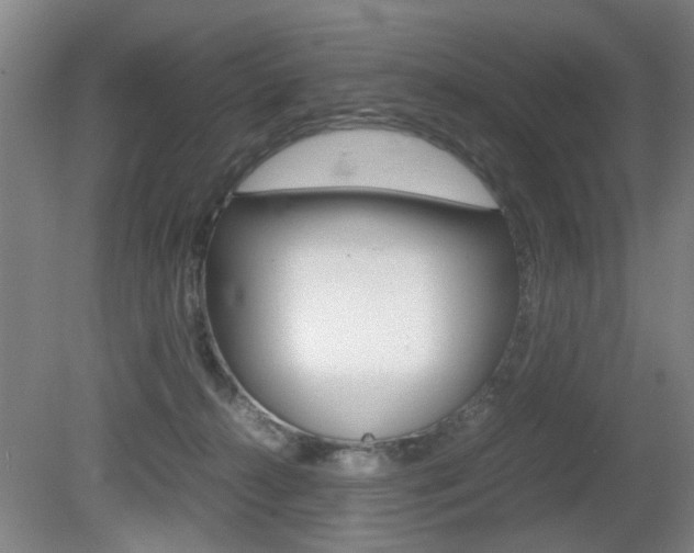 X0000080660272200612150743