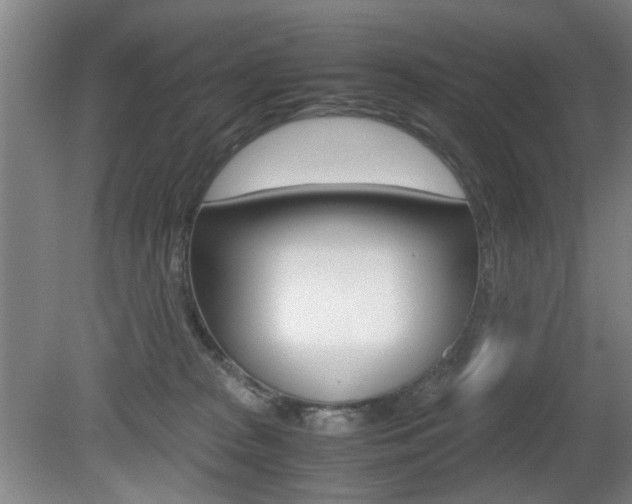 X0000080660277200612150743