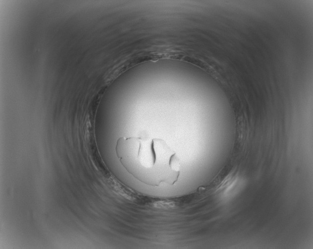 X0000080660279200612150743