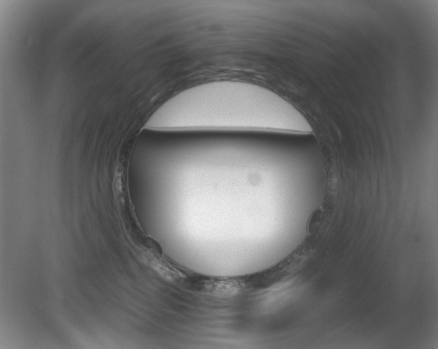 X0000080660282200612150743