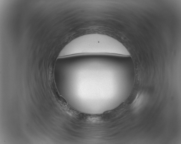 X0000080660283200612150743