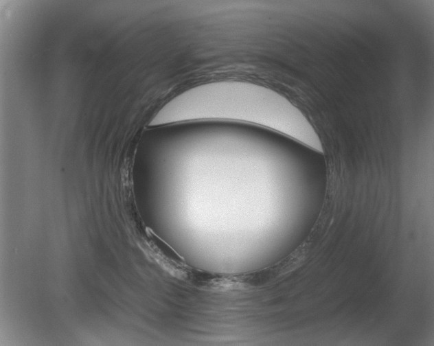 X0000080660284200612150743