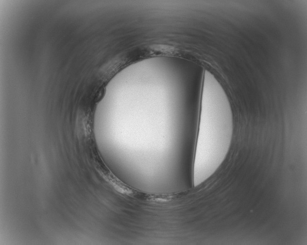 X0000080660285200612150743