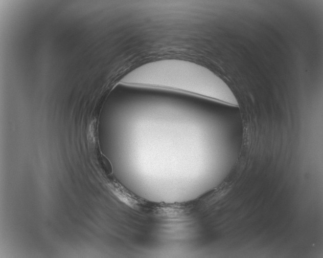 X0000080660286200612150743