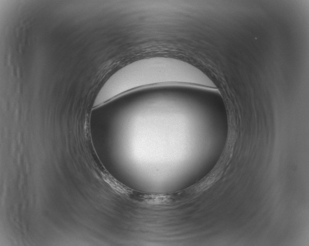X0000080660288200612150743
