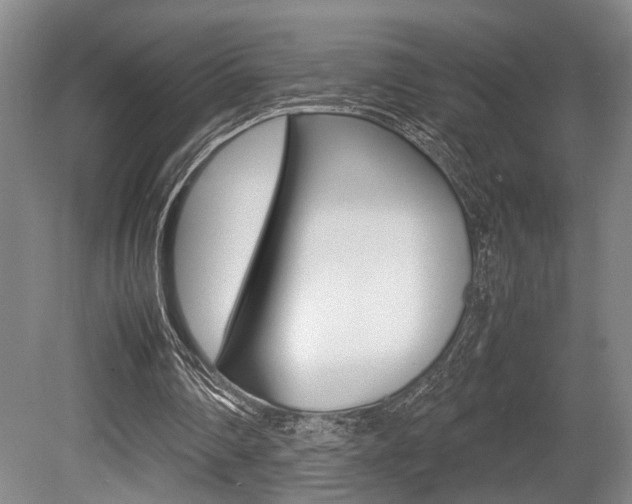 X0000080660290200612150743