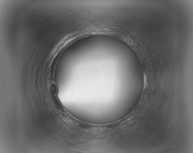 X0000080660291200612150743