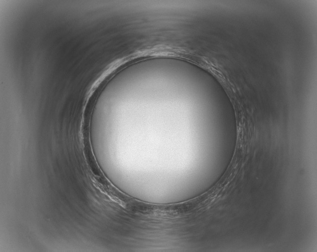 X0000080660292200612150742