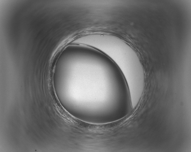 X0000080660293200612150742
