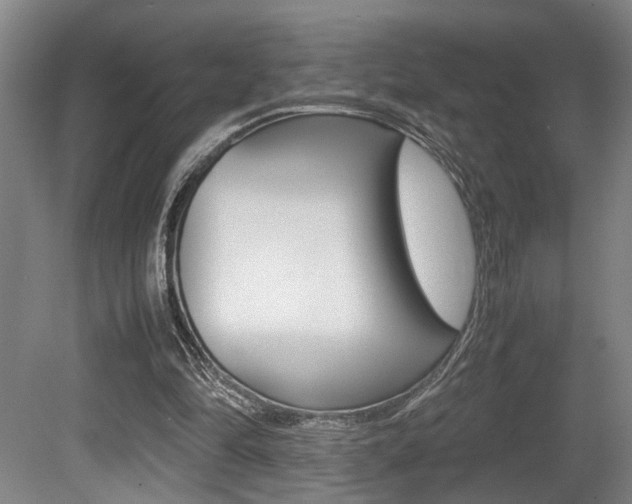 X0000080660294200612150742