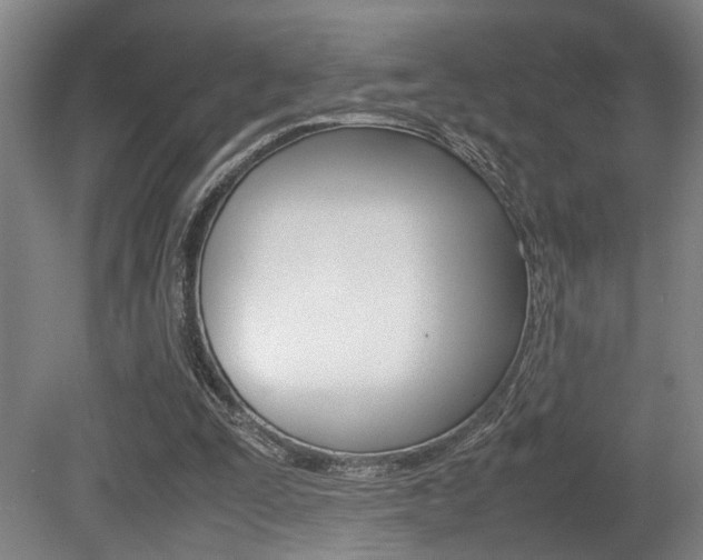 X0000080660295200612150742