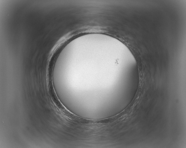 X0000080660296200612150742