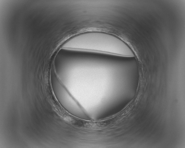 X0000080660297200612150742