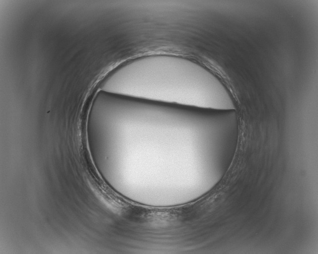 X0000080660298200612150742