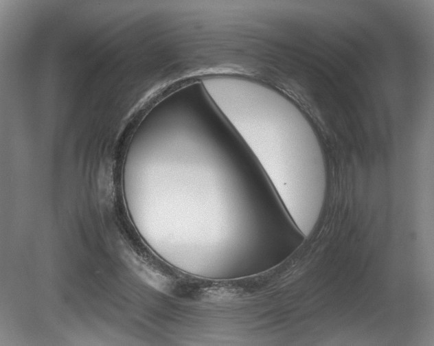 X0000080660300200612150742